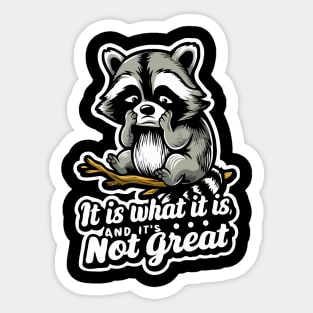 It Is What It Is And It's Not Great. Raccoon Sticker